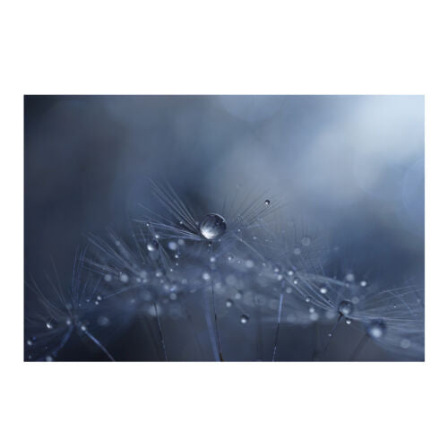 Sony FE 90mm f/2.8 Macro G OSS Full-Frame E-Mount Macro Lens