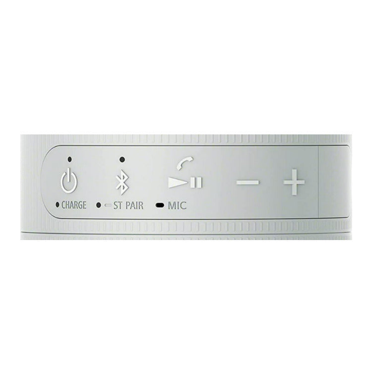 Sony SRS-XB100 Wireless Bluetooth Portable Speaker (Gray) with Case Bundle