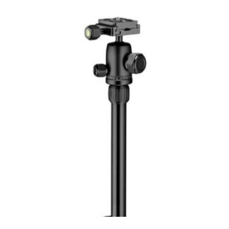 Manfrotto Element Small Traveller Aluminum Three Leg-Angle Stops Tripod (Black)