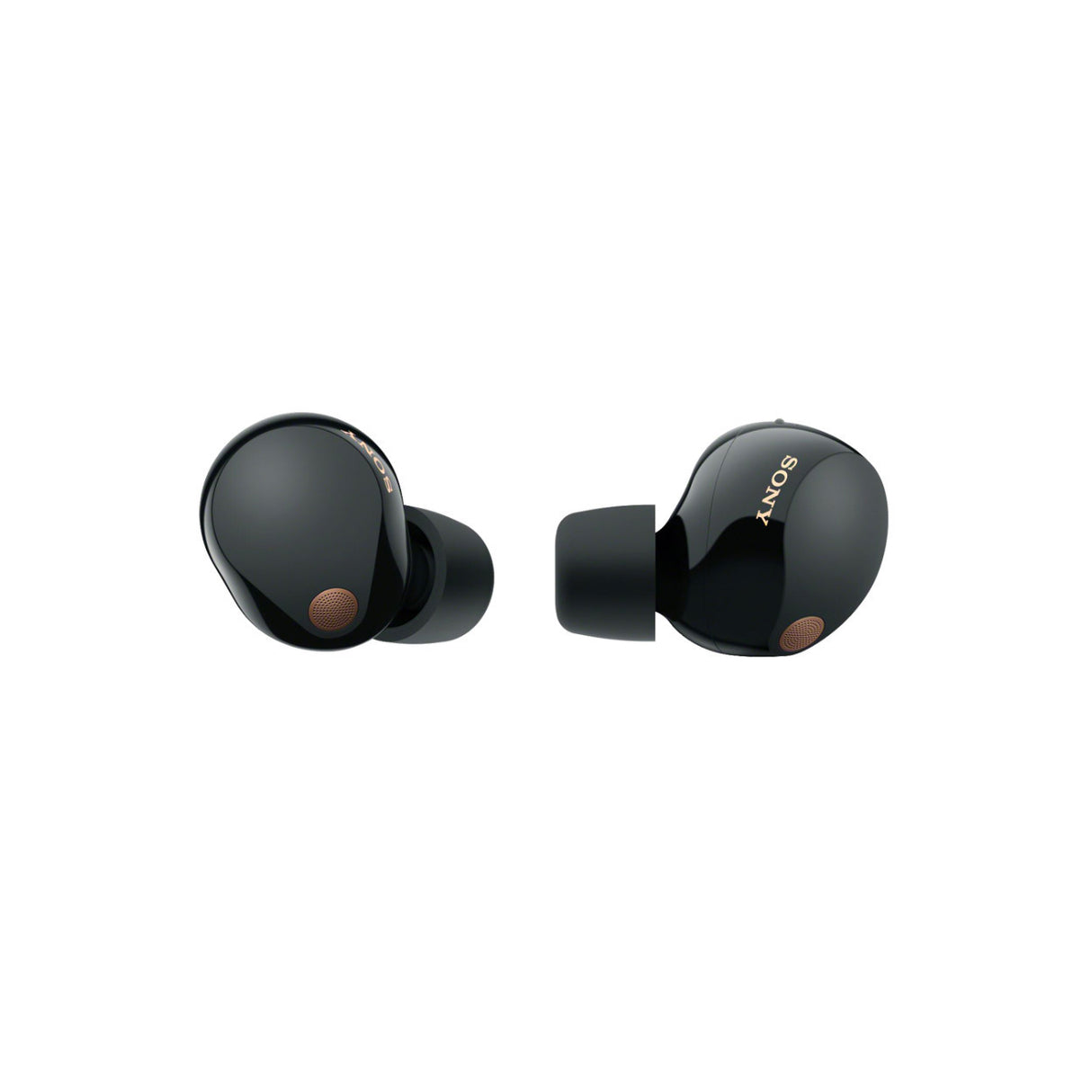 Sony WF-1000XM5 Truly Wireless Noise Canceling Earbuds (Black) Bundle With Earbuds Accessory