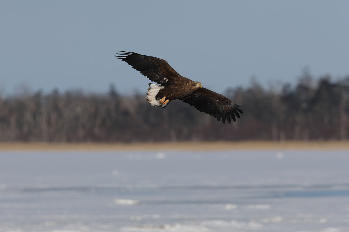 Canon EOS R7 Mirrorless Camera with RF-S 18-150mm and RF 100-400mm f/5.6-8 IS USM Lens Bundle