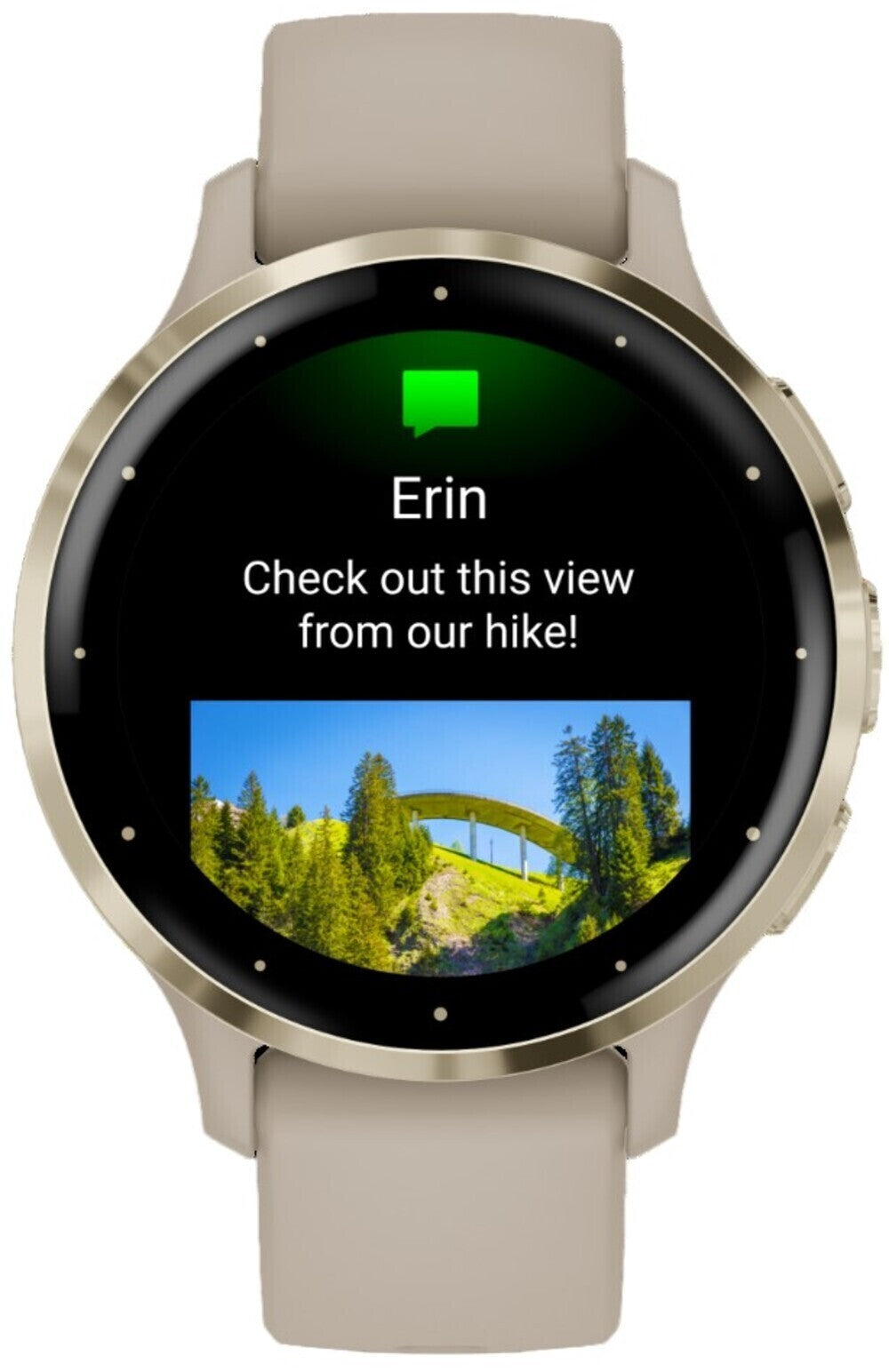 Garmin Venu 3S Soft Gold SS Bezel Smart Watch with 41mm French Gray Case and Silicone Band