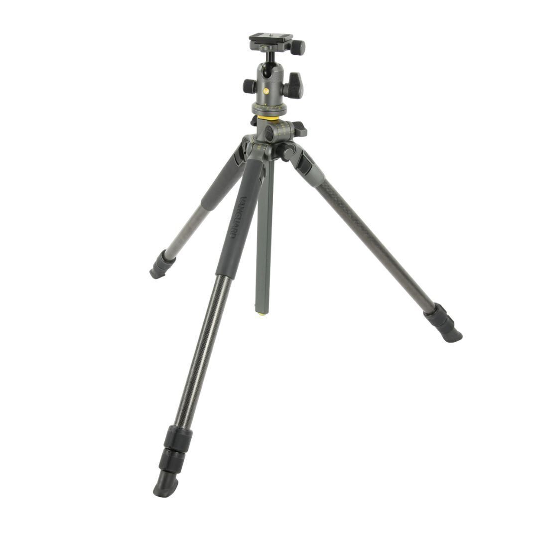 Vanguard Alta Pro 2+ 263CB 100 Carbon Tripod with Multi-Action Ball Head