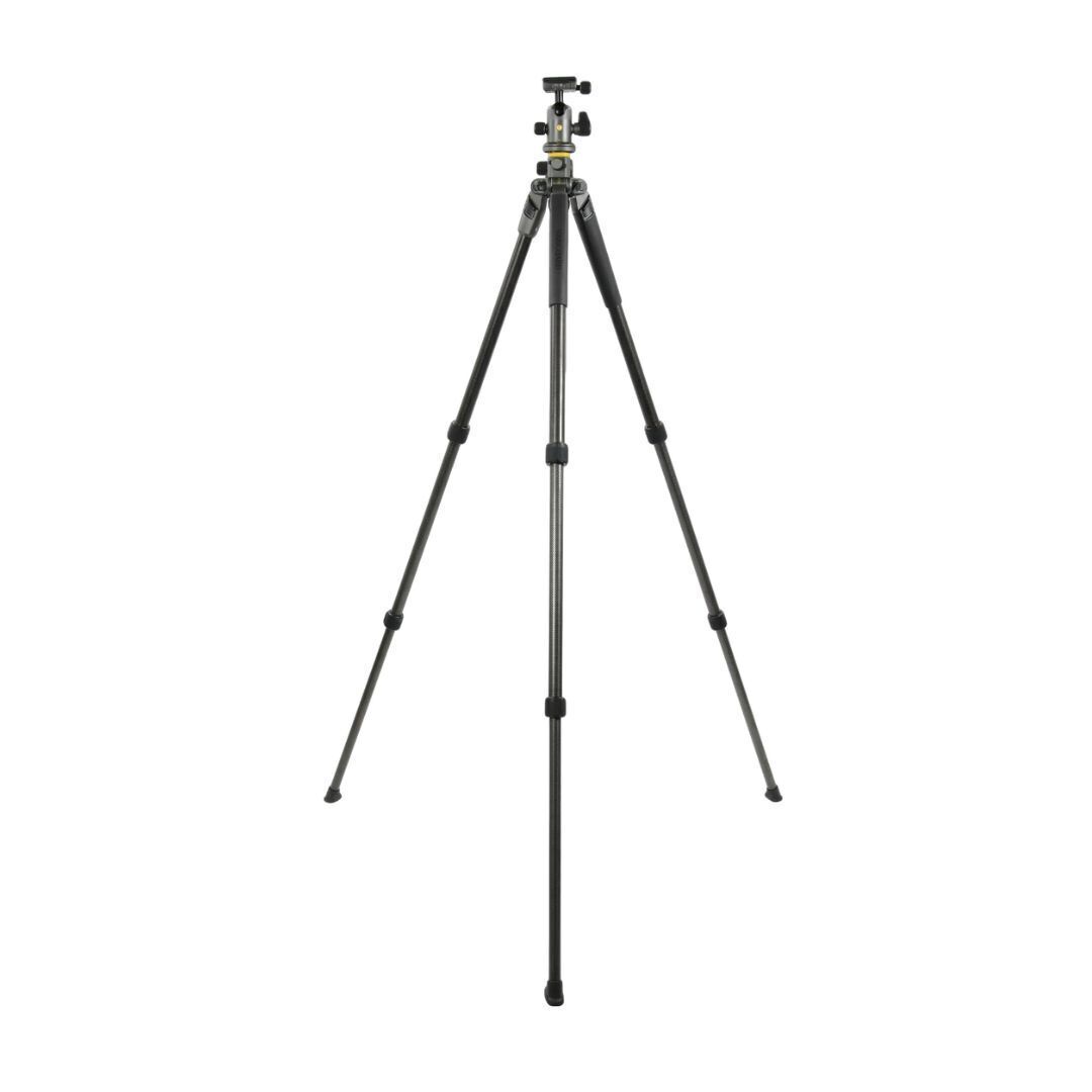 Vanguard Alta Pro 2+ 263CB 100 Carbon Tripod with Multi-Action Ball Head