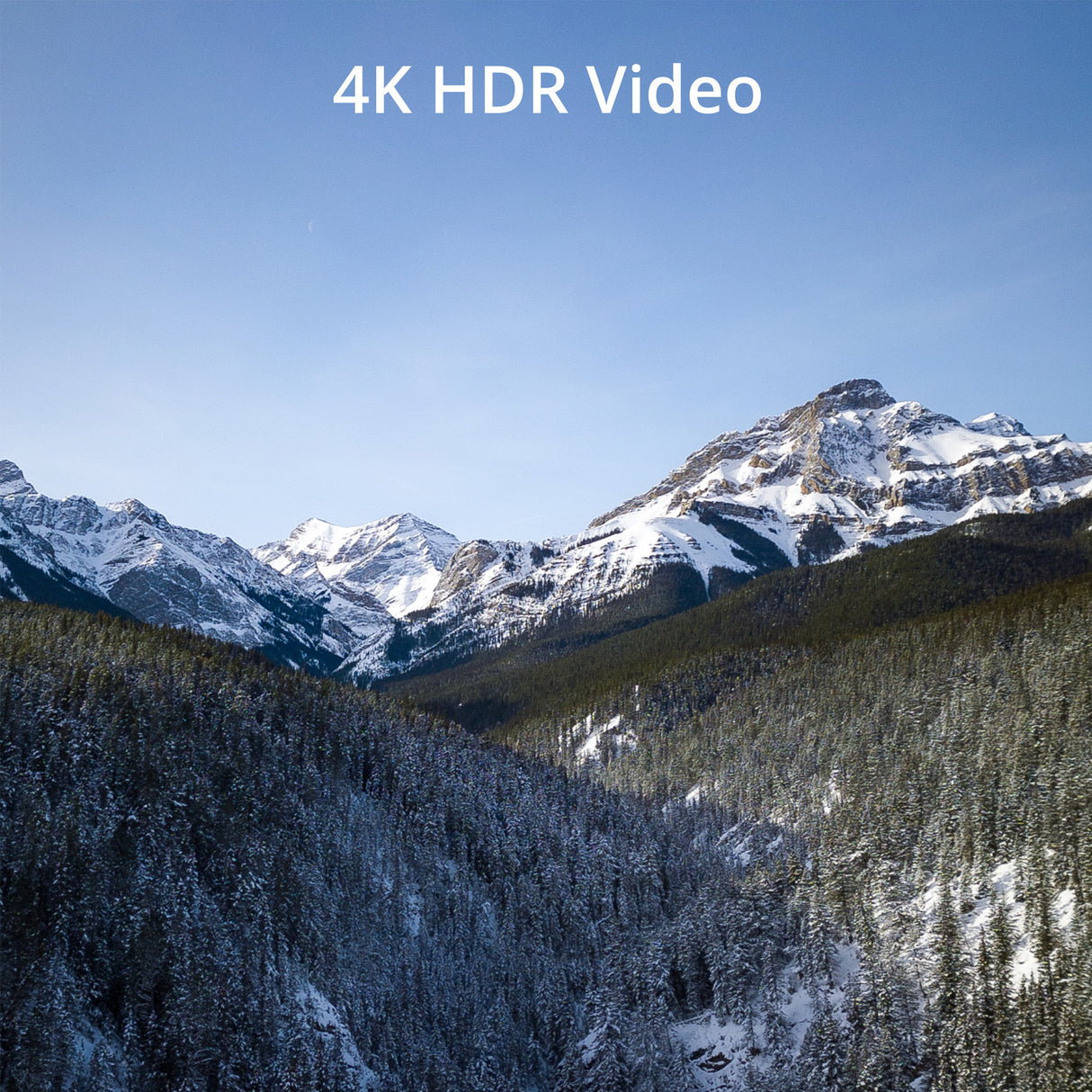 DJI Mini 3 Camera Drone with DJI RC Remote Controller with 128GB V30 A2 MicroSD card