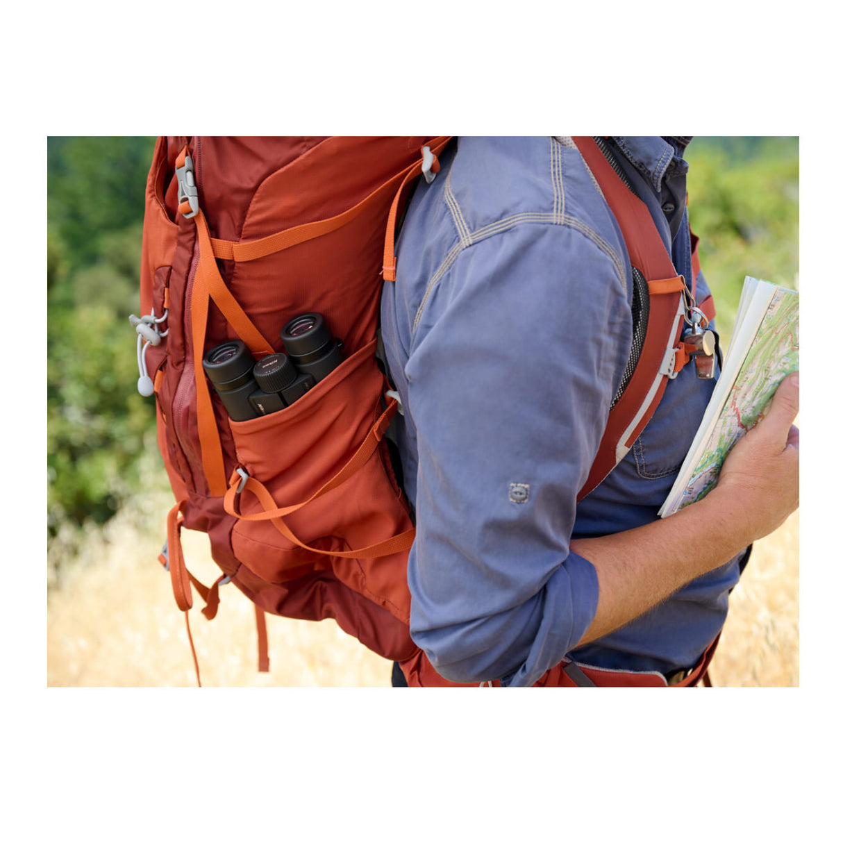 Nikon Monarch M7 8x42 Binoculars