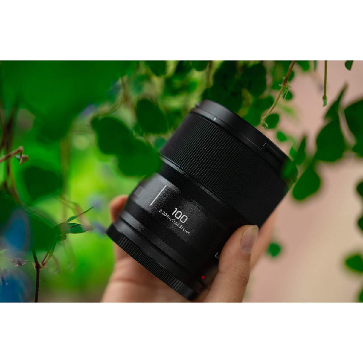 Panasonic LUMIX Full Frame 100mm F2.8 Macro Lens for Lumix S Series Cameras (S-E100)