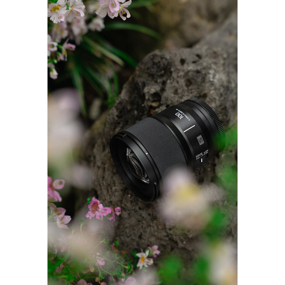 Panasonic LUMIX Full Frame 100mm F2.8 Macro Lens for Lumix S Series Cameras (S-E100)