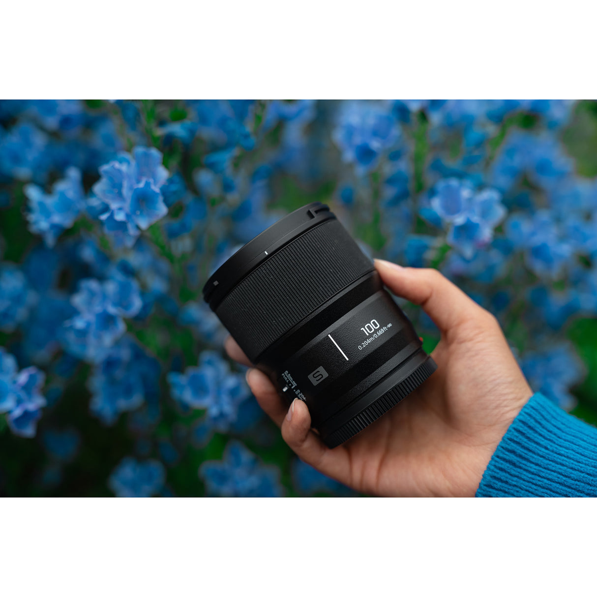 Panasonic LUMIX Full Frame 100mm F2.8 Macro Lens for Lumix S Series Cameras (S-E100)