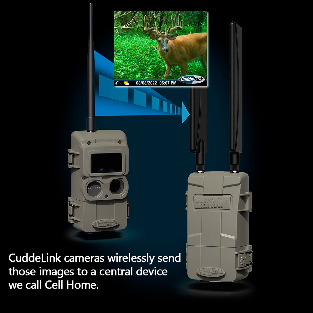 Cuddeback CuddeLink Wireless, Low-Glow Black Flash LED Camera with Cuddeback CuddeLink Cell Home
