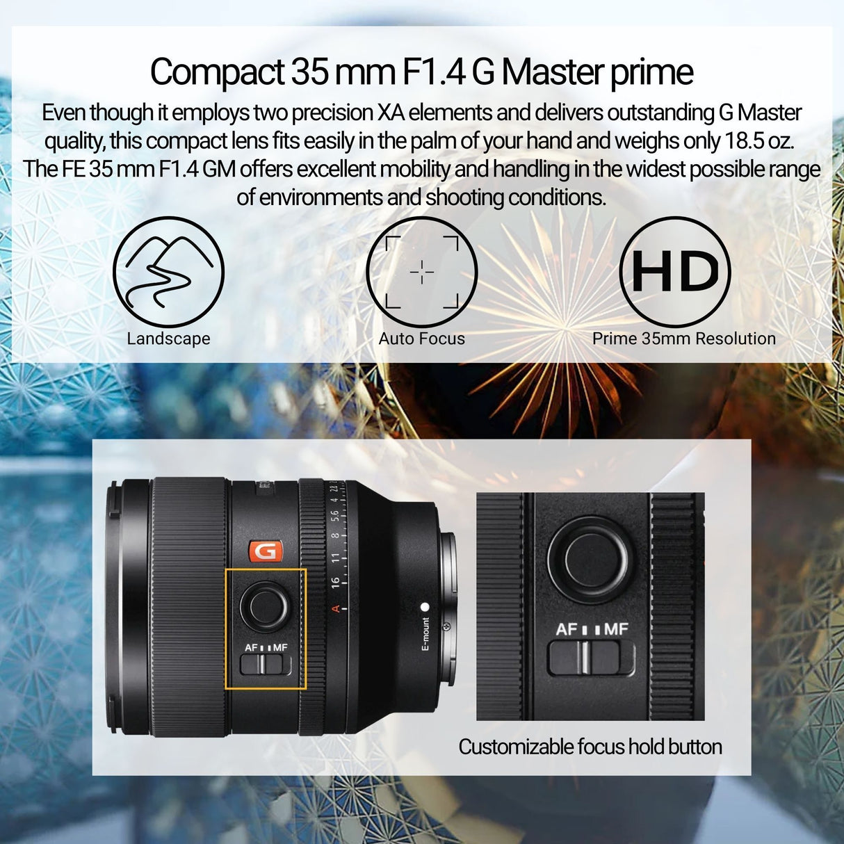 Sony FE 35mm f/1.4 GM Full-Frame Wide Angle G Master Lens with Editing Software, 64GB SD Card Bundle