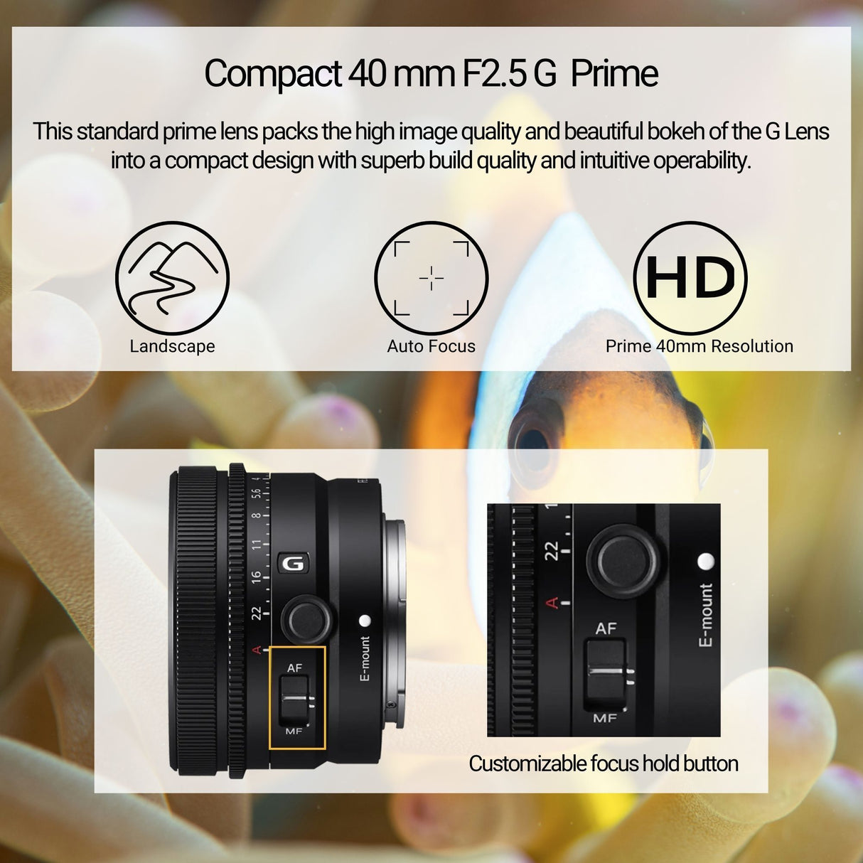 Sony SEL40F25G FE 40mm f/2.5 G Full-Frame G Lens with Editing Software, 64GB Memory Card Bundle