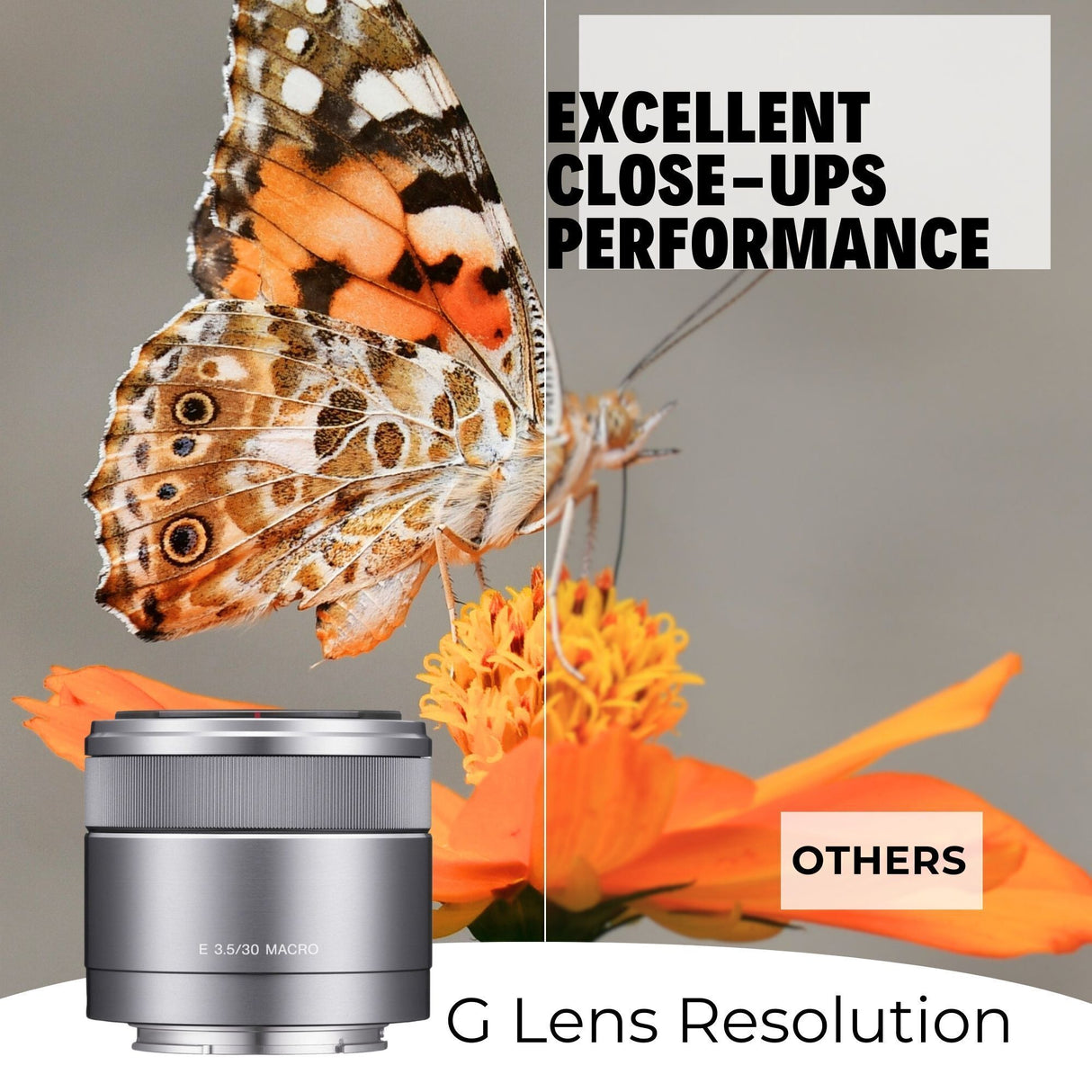 Sony 30mm f/3.5 Macro Lens for Alpha NEX Cameras with Editing Software, 64GB SD Card Bundle