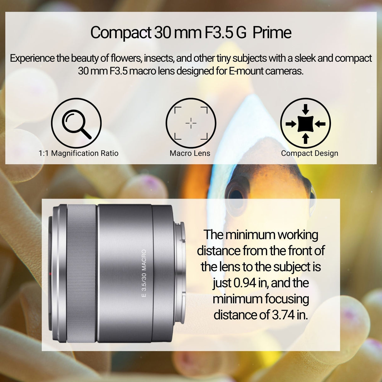 Sony 30mm f/3.5 Macro Lens for Alpha NEX Cameras with Editing Software, 64GB SD Card Bundle