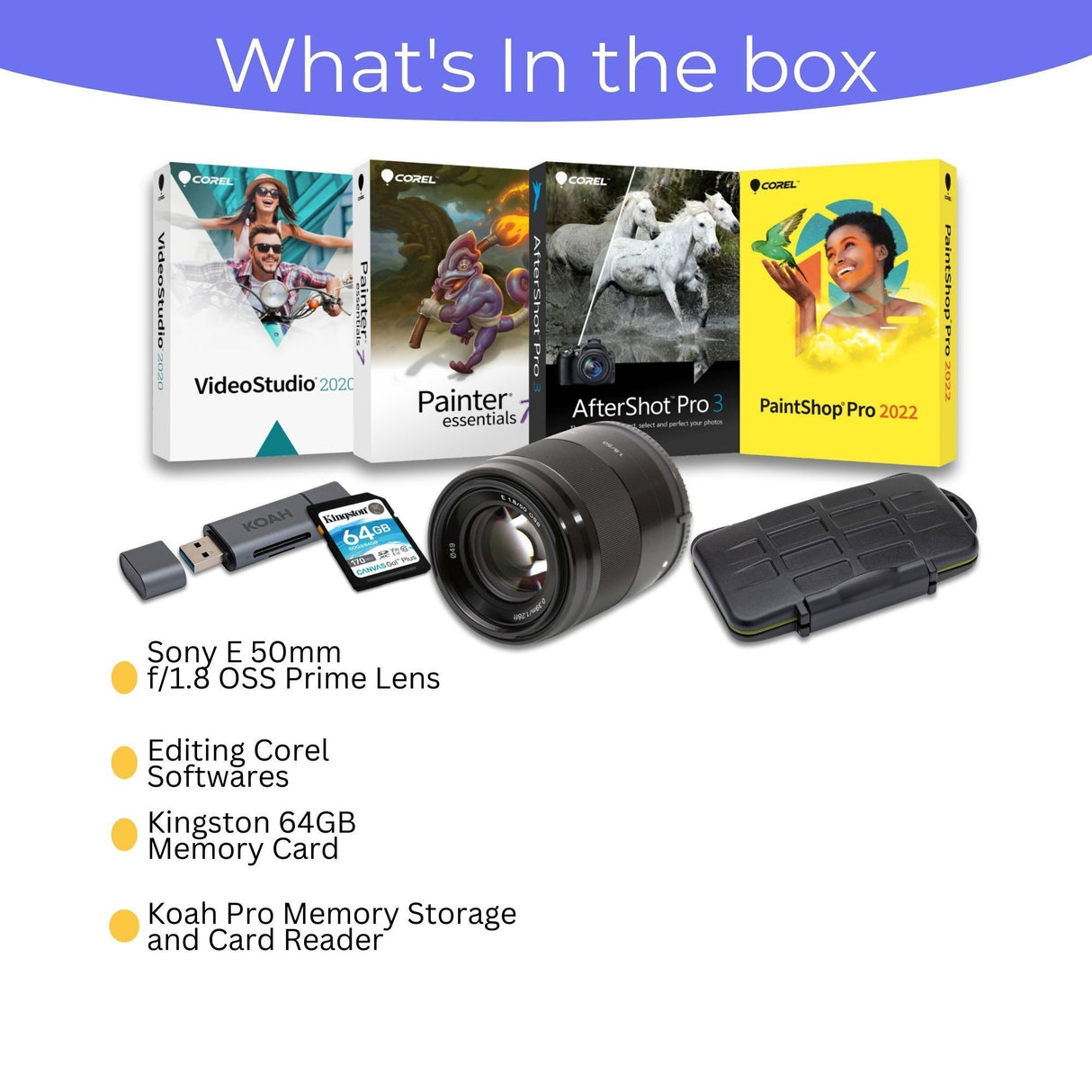 Sony E 50mm f/1.8 OSS Prime Lens (Black) with Editing Software, 64GB Memory Card, and Accessories