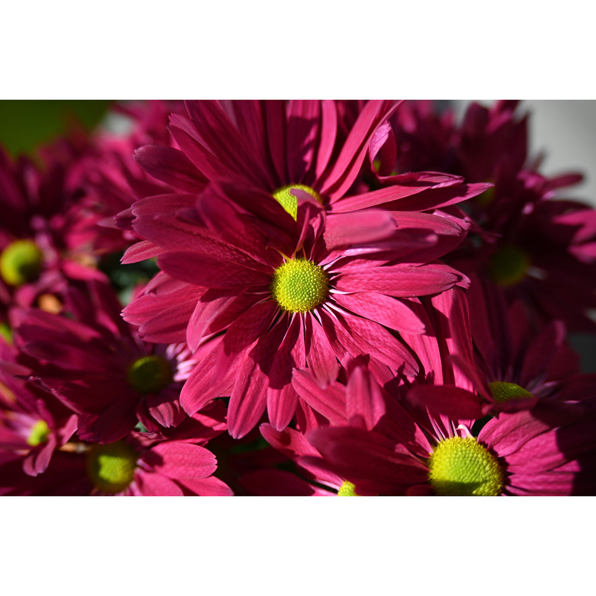 NIKKOR Z 28-400mm f/4-8 VR Full-Frame Z-Mount Lens