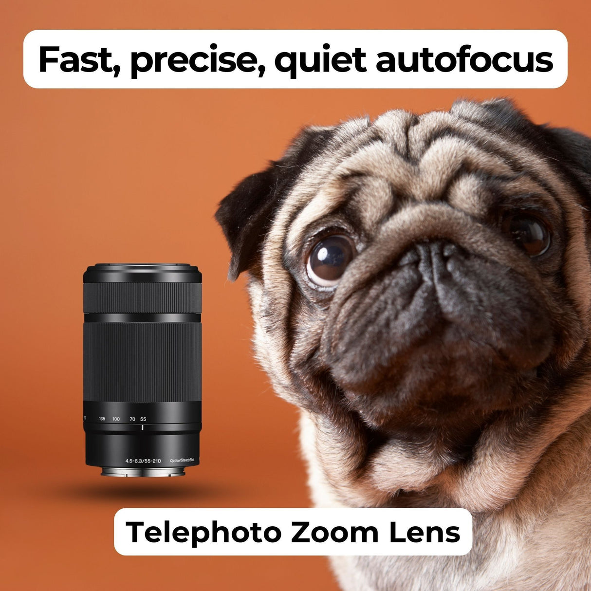 Sony 55-210mm Telephoto Lens with 64GB Memory Card, Editing Software, Camera Mug, and SD Card Reader