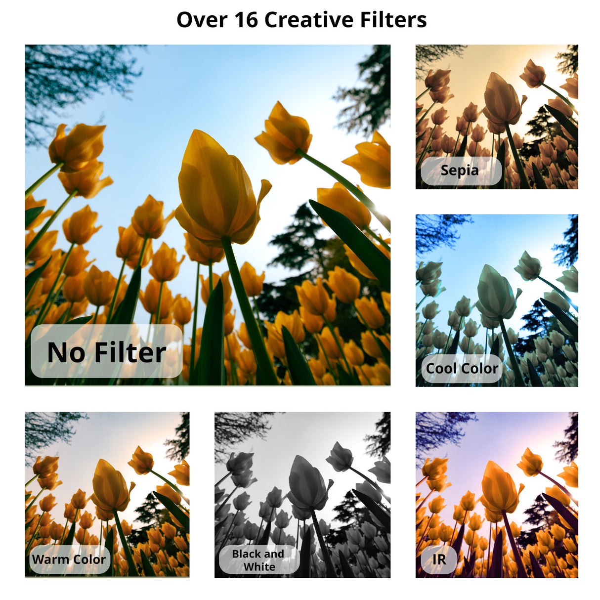 Koah 44MP FHD Point and Shoot Digital Camera with 16X Power Zoom (Black) and 32GB Card Bundle