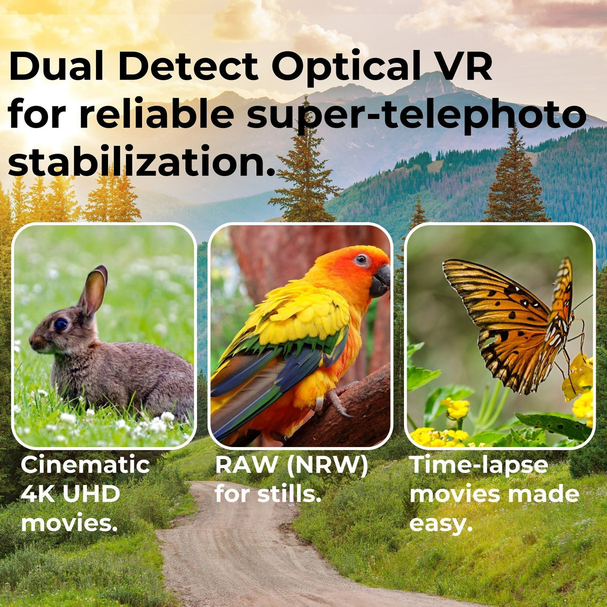 Nikon COOLPIX P950 Digital Camera (Black) Camera Case and Accessory, 64GB Memory Card Bundle