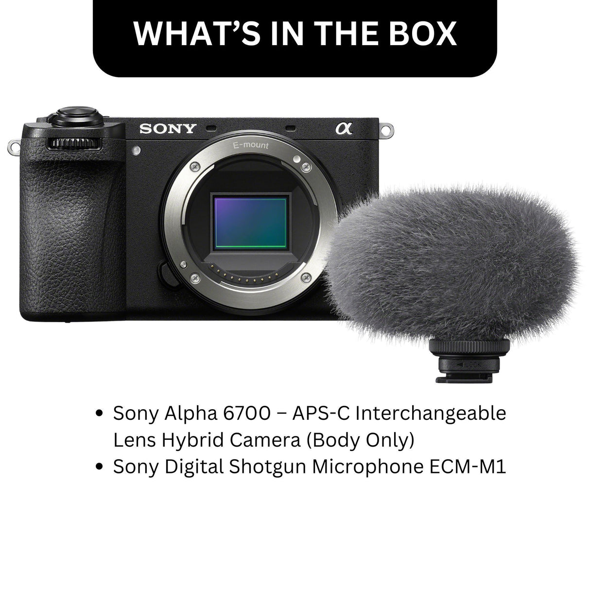 Sony Alpha 6700 APS-C Interchangeable Lens Hybrid Camera (Body Only) Shotgun Microphone Bundle