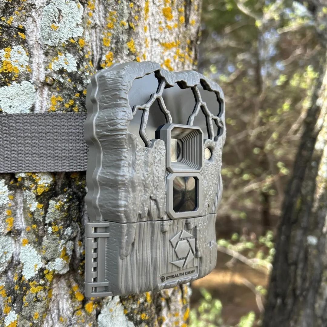 Stealth Cam 20MP Trail Camera with 60 Feet Range Detection and 720P Video Resolution (2-Pack)