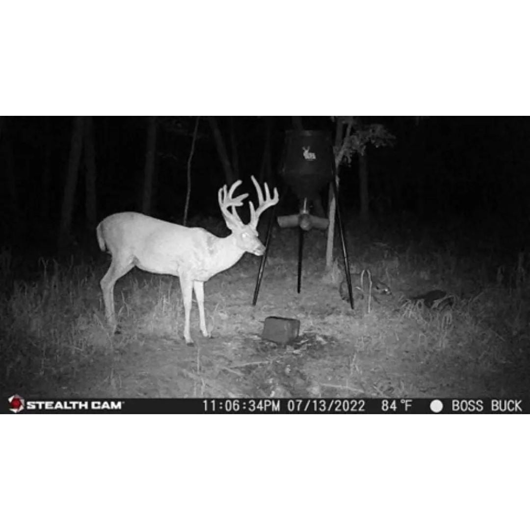 Stealth Cam 20MP Trail Camera with 60 Feet Range Detection and 720P Video Resolution (2-Pack)