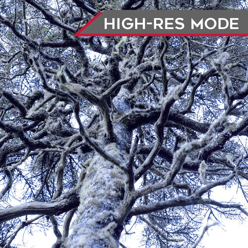 Panasonic LUMIX S5II Hybrid Full Frame Mirrorless Camera Body with 24.2-Megapixel 35mm CMOS Sensor