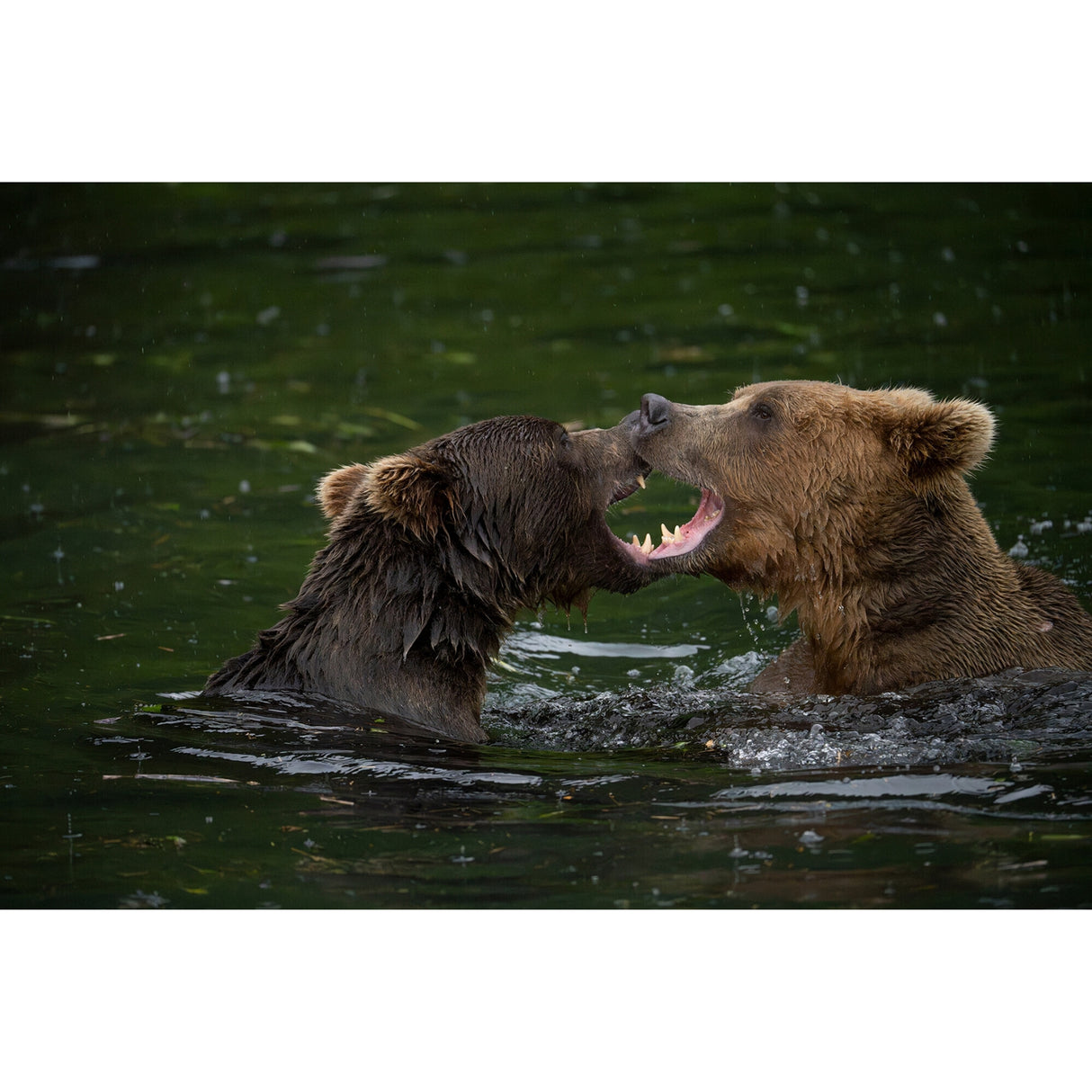 Tamron A057Z 150-500mm F/5-6.7 Di III VC VXD Lens for Nikon Z-Mount with Sling Camera Bag Bundle