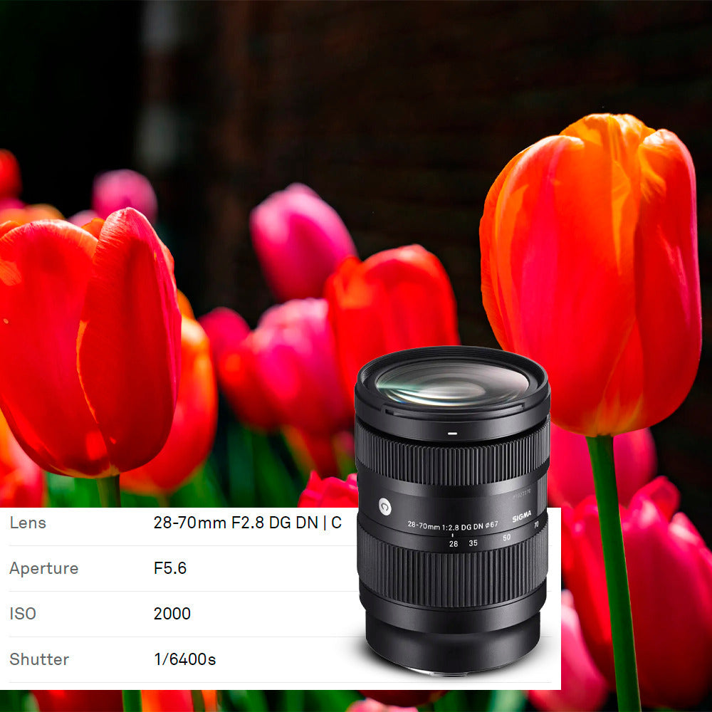 Sigma 28-70mm f/2.8 DG DN Contemporary Lens for L Mount with USB 3.0 1TB Portable Hard Drive Bundle