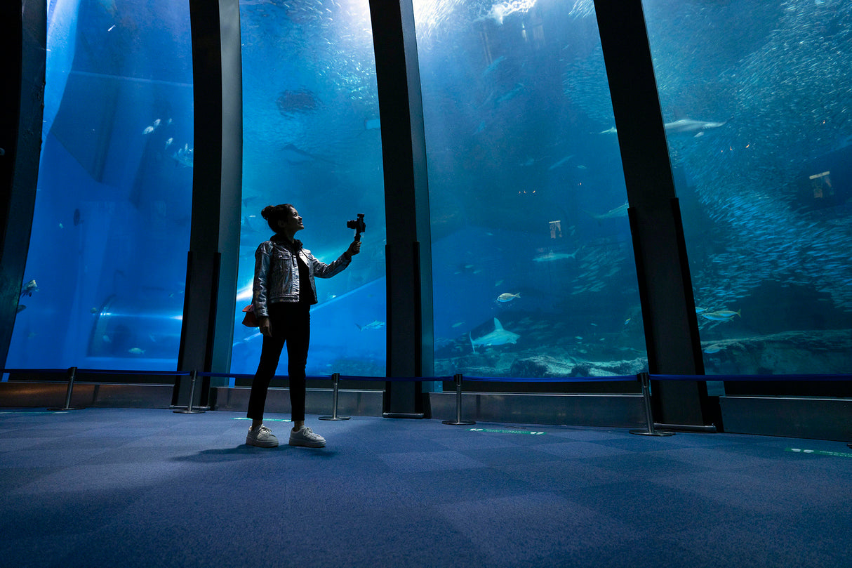 Sony Creator Accessory Kit II with Wireless Bluetooth Shooting Grip and Vlogger Shotgun Mic