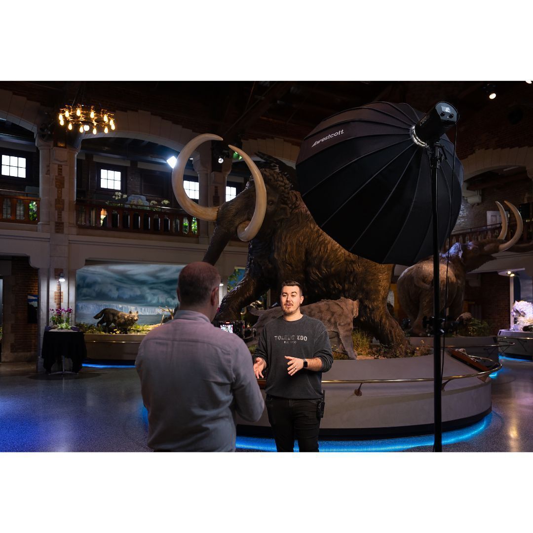 Westcott L120-B 120W Bi-Color COB LED with Durable Metal Housing for Photography and Videography