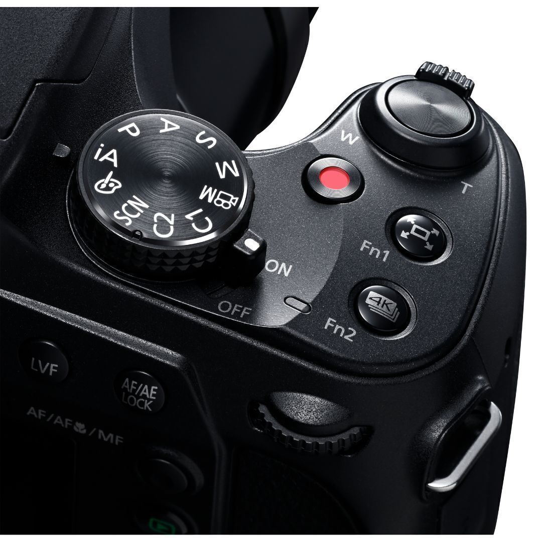 Panasonic LUMIX FZ80D Point and Shoot Digital Camera