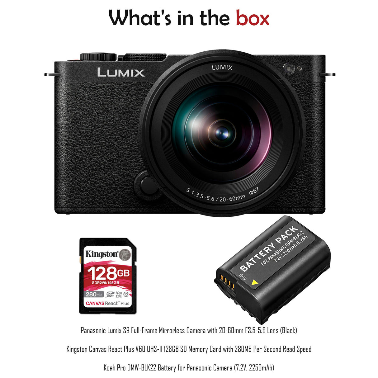 Panasonic Lumix S9 Full-Frame Mirrorless Camera with 20-60mm F3.5-5.6 Lens (Black) Bundle