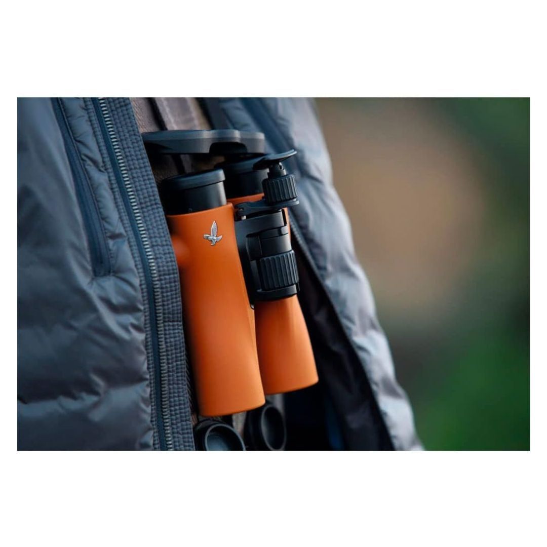Swarovski NL Pure 10x32 Binoculars (Burnt Orange)