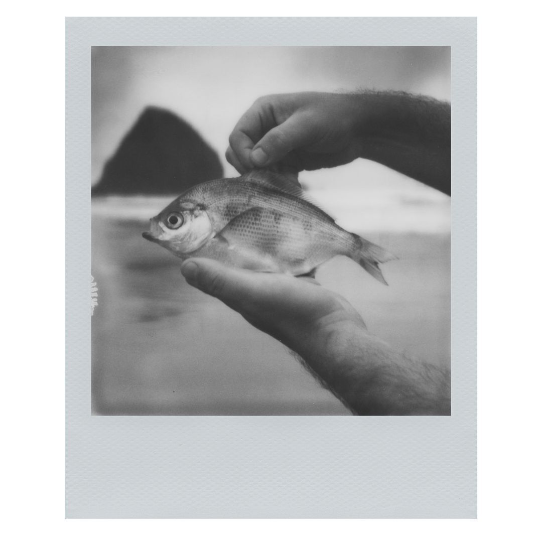 Polaroid B and W 600 Film Monochrome Frames Limited Edition Film Pack with 8 Frames