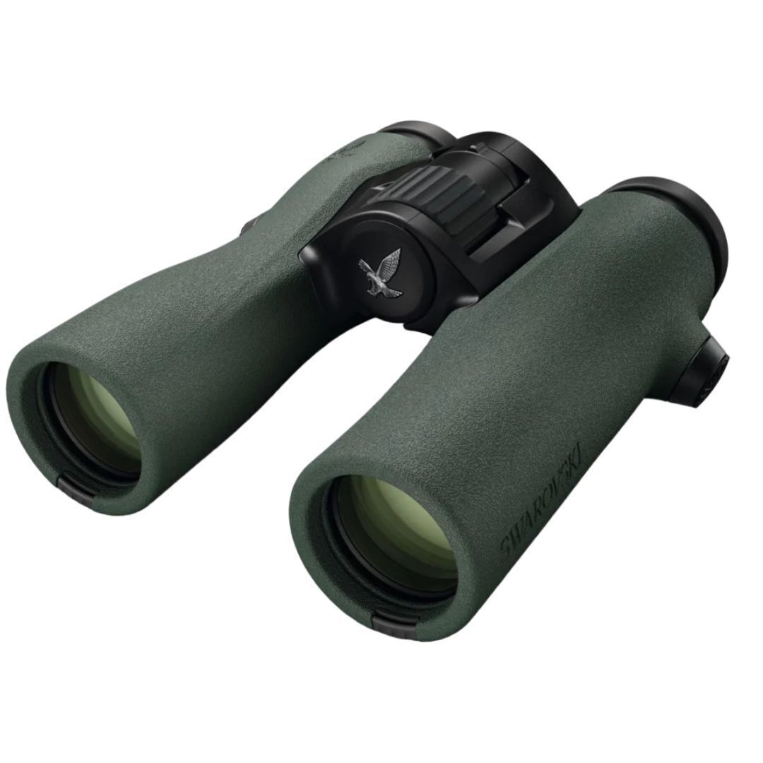 Swarovski NL PURE 8x32 Binocular (Green)