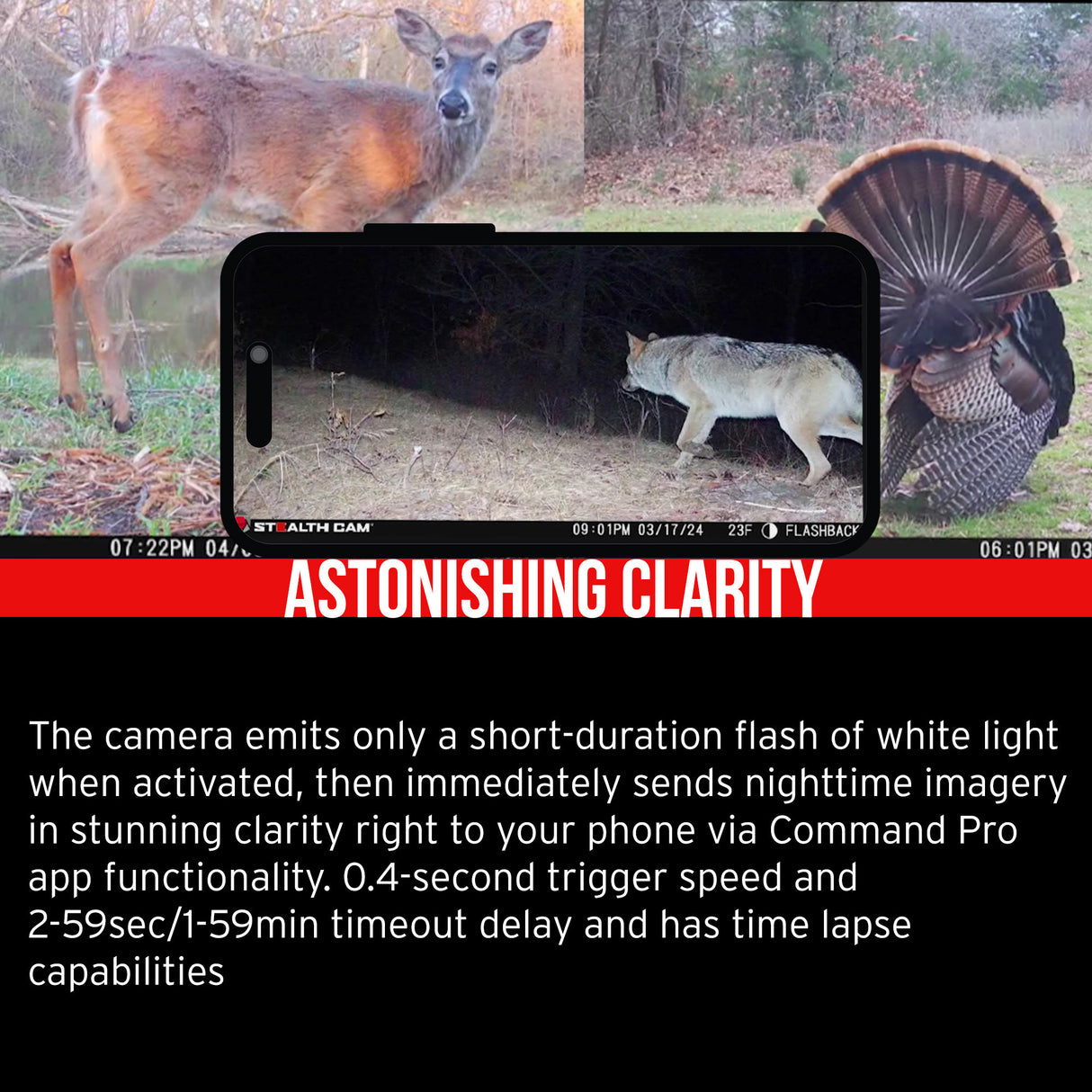 Stealth Cam Flashback White Flash Cellular Trail Camera 2-Pack with Two 32GB Cards and Card Reader