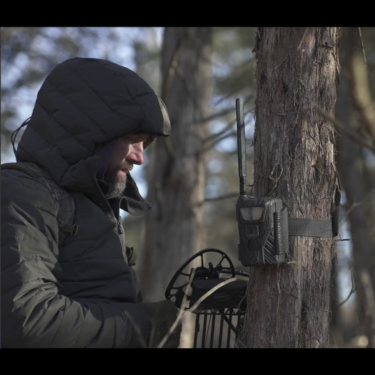 Stealth Cam Flashback White Flash Cellular Trail Camera 2-Pack with Two 32GB Cards and Card Reader