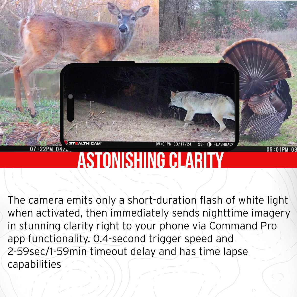 Stealth Cam Flashback White Flash Cellular Trail Camera 10-Pack with Ten 32GB Cards and Card Reader