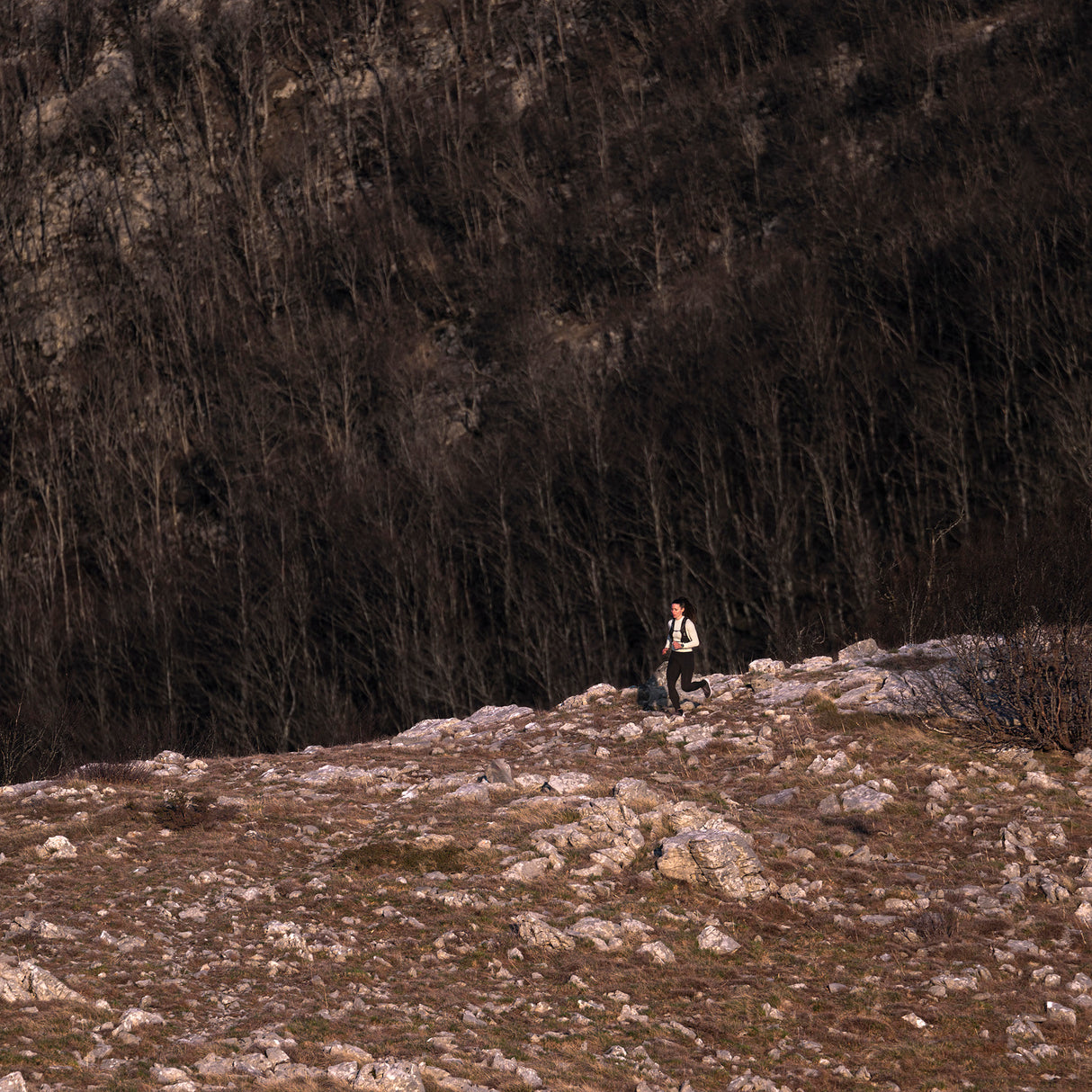 Garmin Fenix 8 43mm GPS Smartwatch with 1.3-Inch AMOLED Display (Silver and Whitestone)