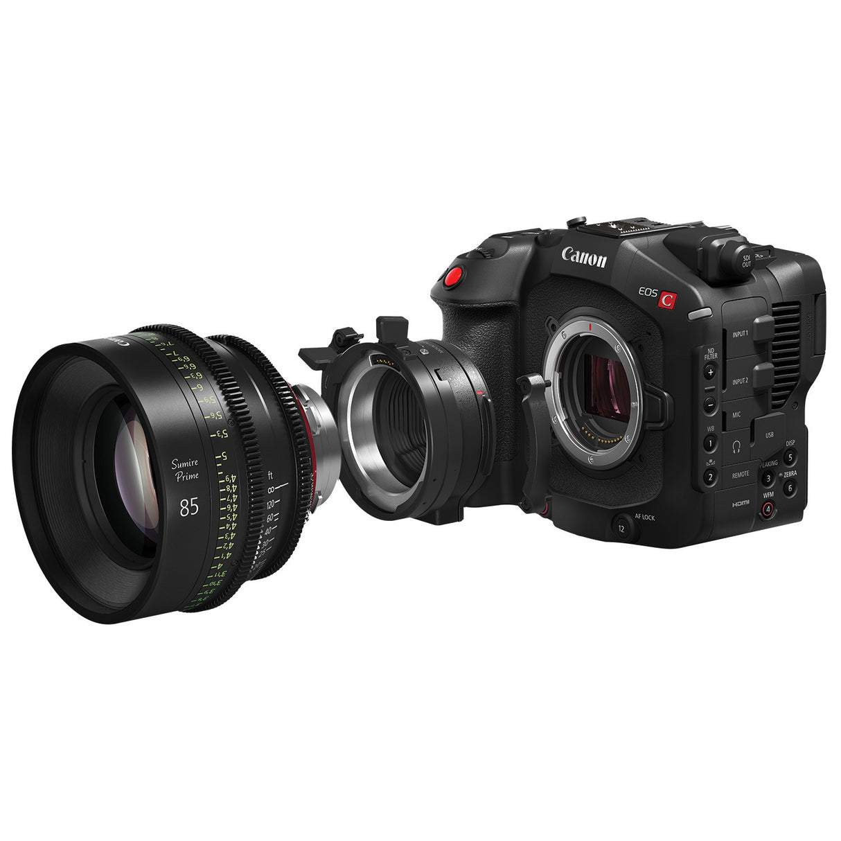 Canon EOS C80 6K Full-Frame Cinema Camera (Canon RF)
