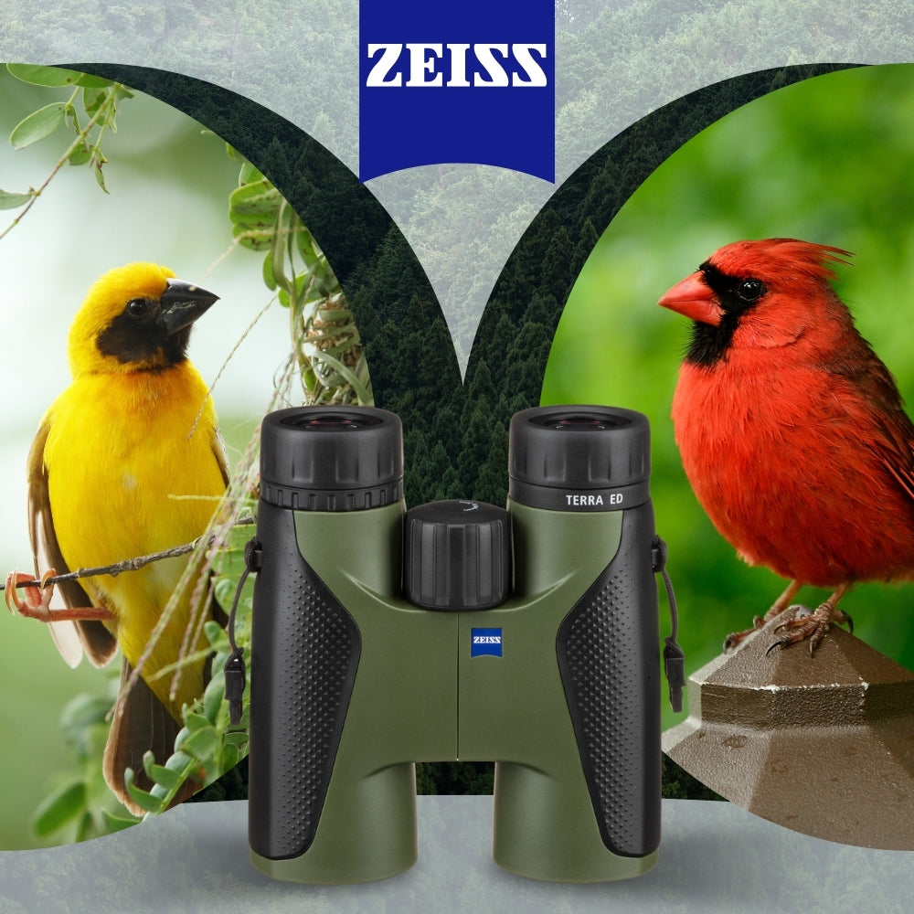 Zeiss 8x42 Terra HD Schott ED Glass Binoculars (Green) with Zeiss Lens Cleaning Kit Bundle