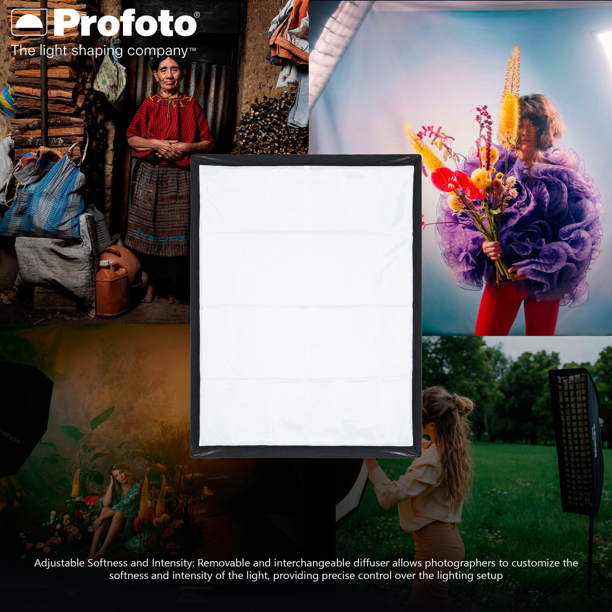 Profoto Softbox 3x4-Feet Rectangular Removable Diffuser (Silver) with Softgrid and Edge Mask Bundle