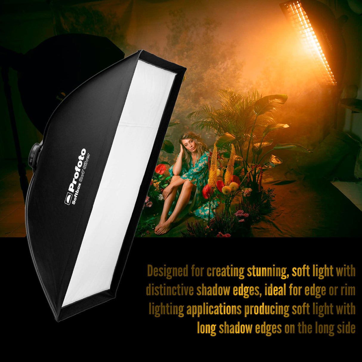 Profoto Softbox 3x4-Feet Rectangular Removable Diffuser (Silver) with Softgrid and Edge Mask Bundle