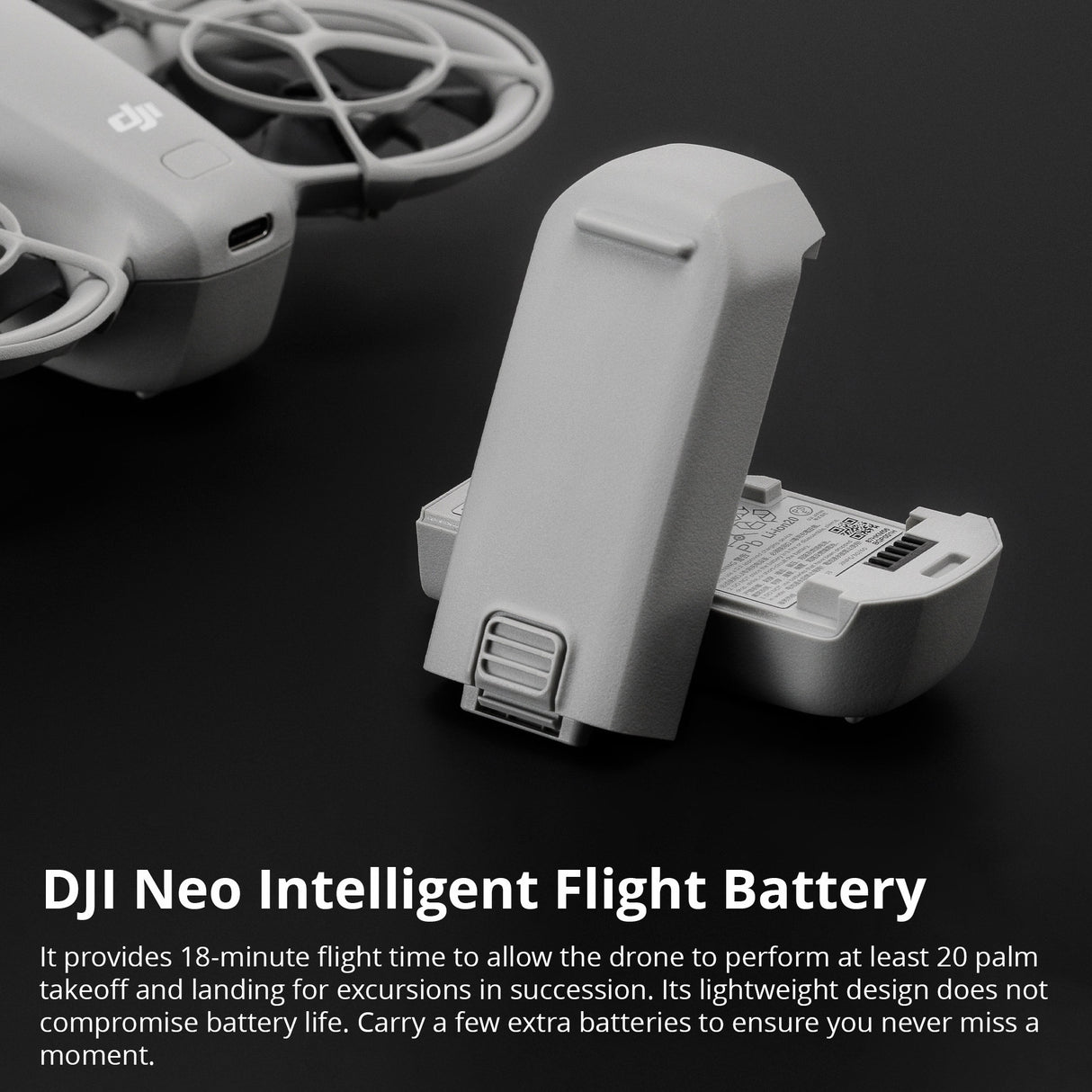 DJI Neo Intelligent Flight Battery (2-Pack) with 30" Double-Sided Drone Landing Pad Bundle