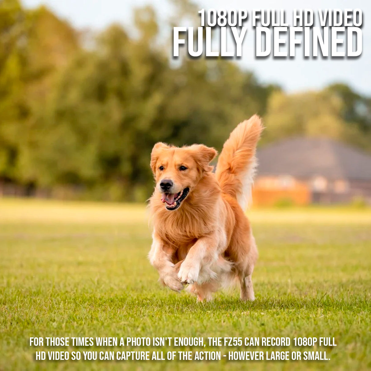 Kodak PIXPRO Friendly Zoom FZ55 Digital Camera (Black) with Digital Camera Screen Protectors Bundle