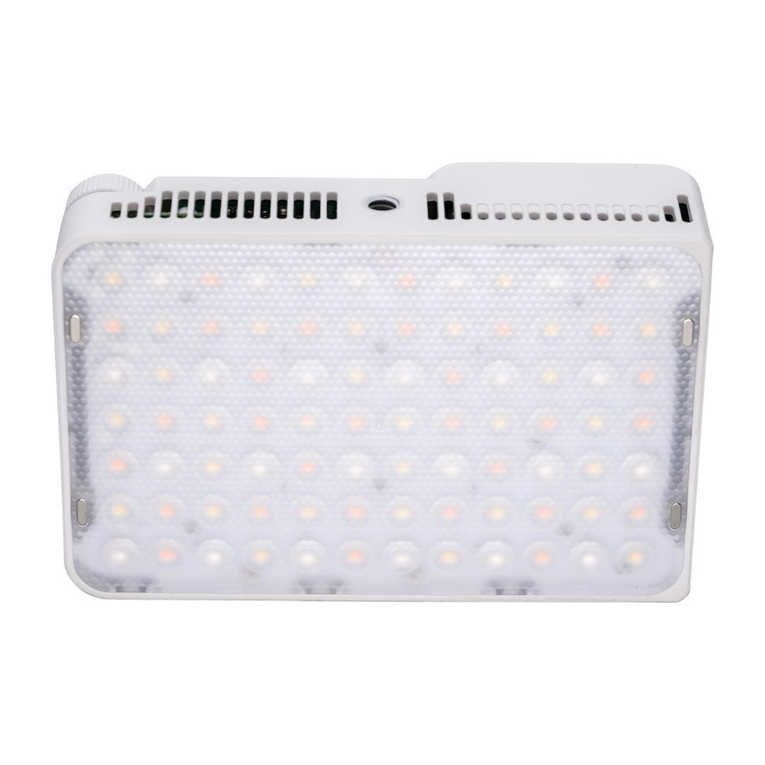 amaran Ace 25c RGBWW Full Color Compact LED Light with Ace Lock Quick-Release Mount (White)