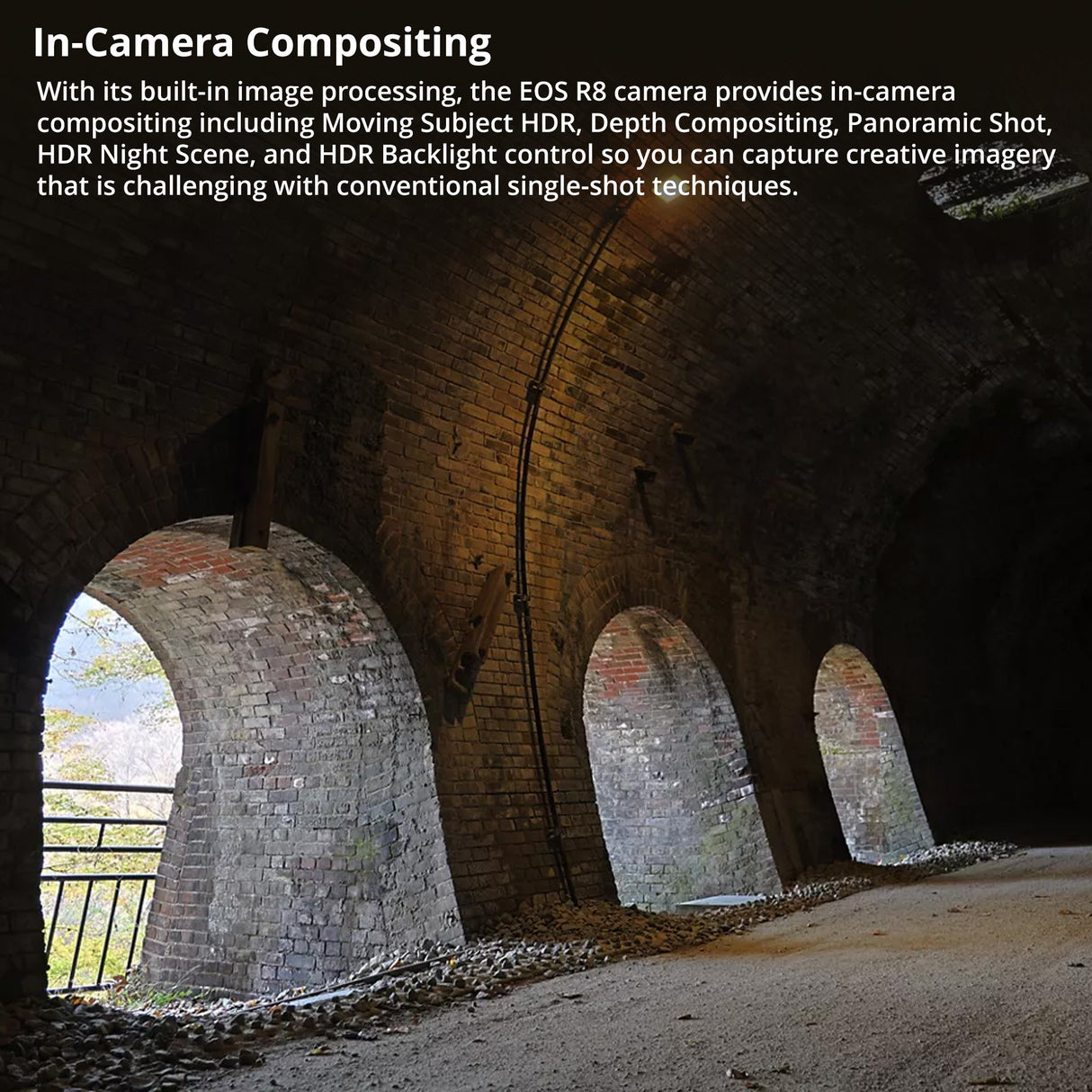 Canon EOS R8 Mirrorless Camera with RF 24-50mm f/4.5-6.3 IS STM Lens and RS 4 Gimbal Bundle