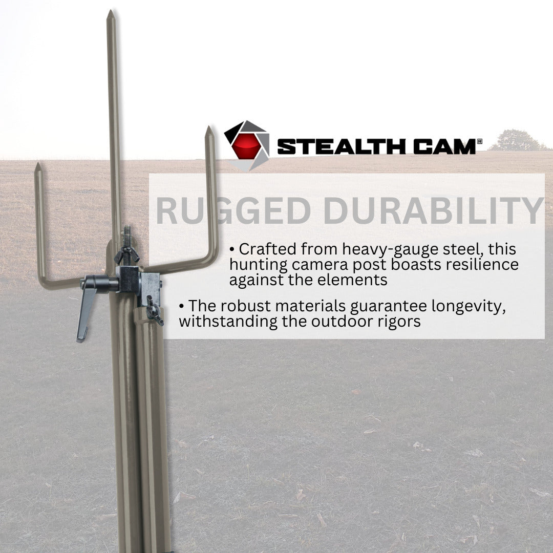 Stealth Cam SD Card Reader and Viewer with 4.3-Inch Touchscreen and Touch Detection (4-Pack) Bundle