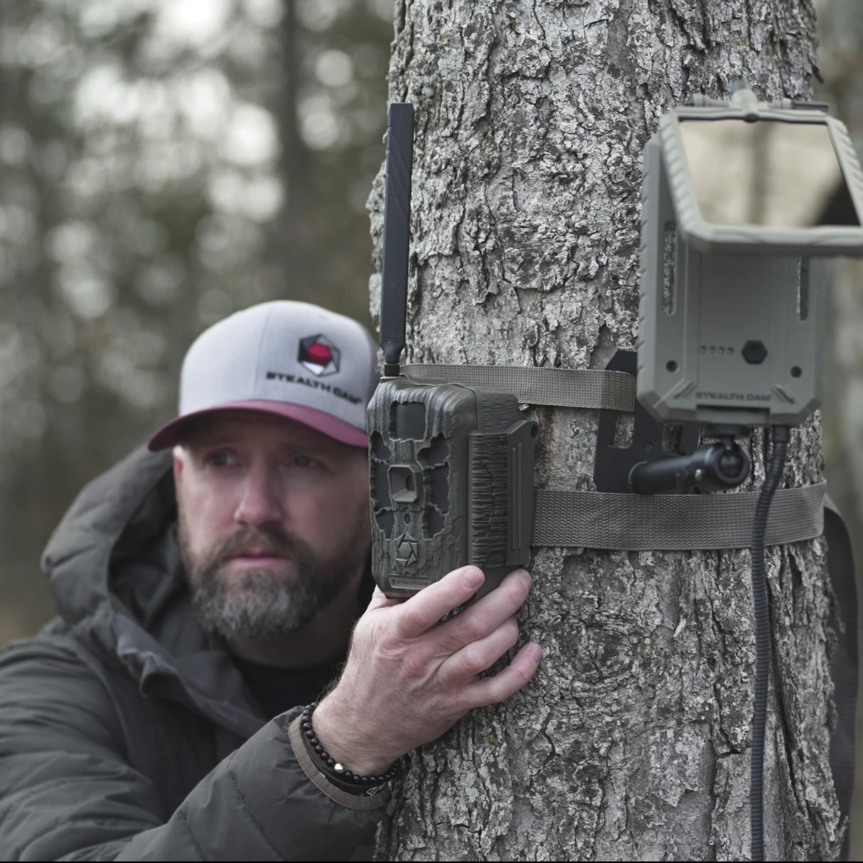 Stealth Cam 40MP Deceptor Max Cellular Trail Camera (2-Pack) x 4 with Memory Card (8-Pack) Bundle